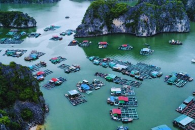 Lan Ha bay - Viet Hai village - Van Boi beach (B, L, D)